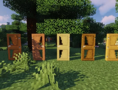 Minecraft Mod Doors, jogando craft, baixe minecraft, jugar minecraft